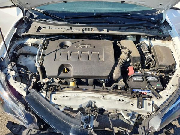 2019 TOYOTA COROLLA L/LE/SE/XLE/XSE — Engine bay