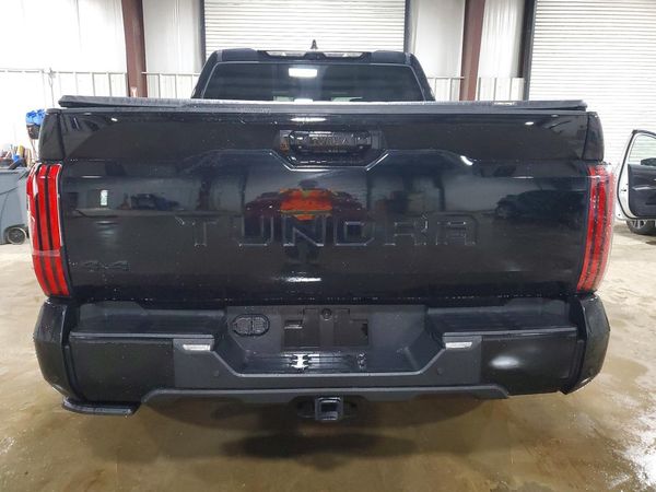 2023 TOYOTA TUNDRA Platinum — DIRR