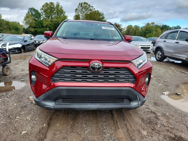2019 TOYOTA RAV4 XLE / XLE Premium 4WD — DIRF
