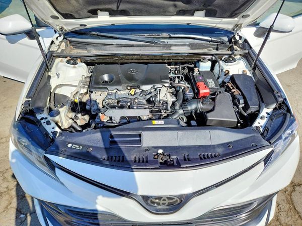 2019 TOYOTA CAMRY L/LE/SE/XLE — Engine bay