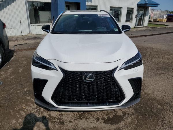 2025 LEXUS NX