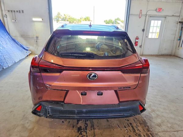 2025 LEXUS UX 300H — DIRR