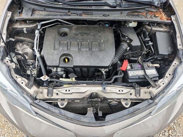 2019 TOYOTA COROLLA L/LE/SE/XLE/XSE — Engine bay