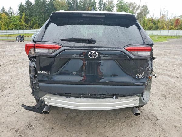 2025 TOYOTA RAV4 XLE — DIRR