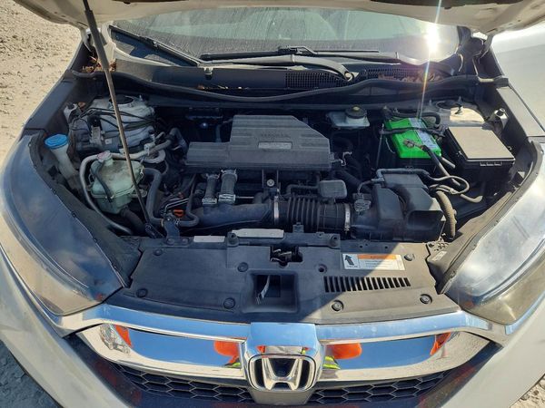 2019 HONDA CRV EX-L/EX-L Navi — Engine bay