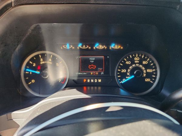 2019 FORD F150 — ODOM