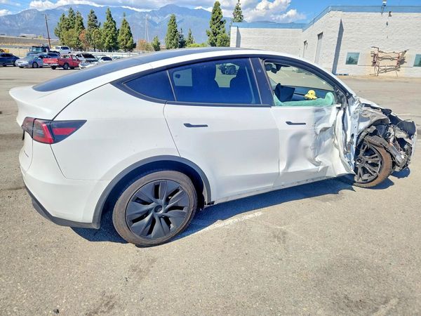 2024 TESLA MODEL Y — PSRA