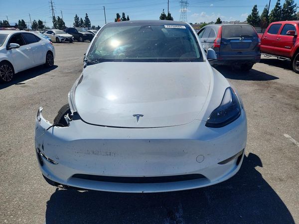 2024 TESLA MODEL Y — DIRF