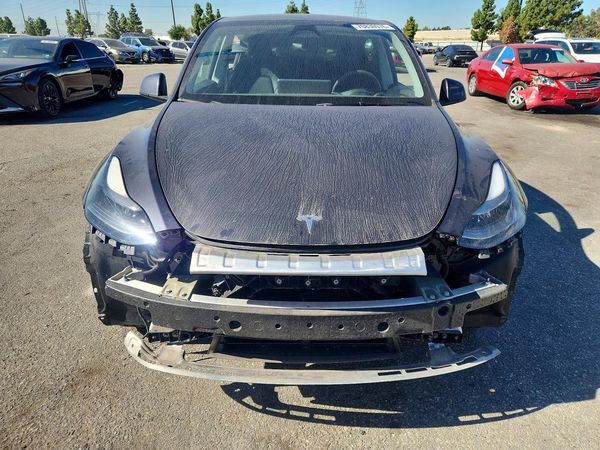 2024 TESLA MODEL Y — DIRF