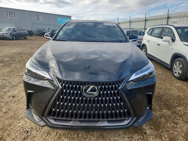 2026 LEXUS NX 450h+ Luxury — DIRF