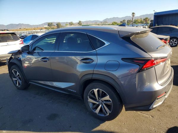 2019 LEXUS NX 300H Luxury — DSRA