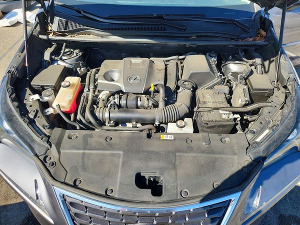 2020 LEXUS NX 300 300 Base — Engine bay