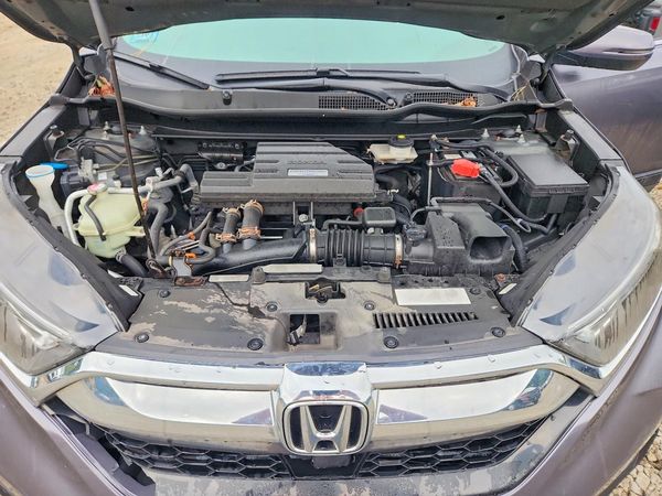 2019 HONDA CRV EX-L/EX-L Navi — Engine bay
