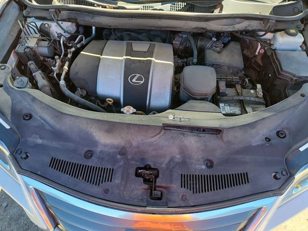 2019 LEXUS RX 350 350 Standard — Engine bay