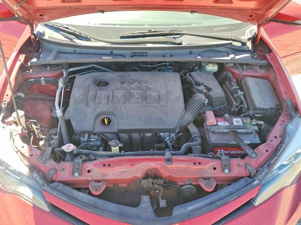 2019 TOYOTA COROLLA L/LE/SE/XLE/XSE — Engine bay