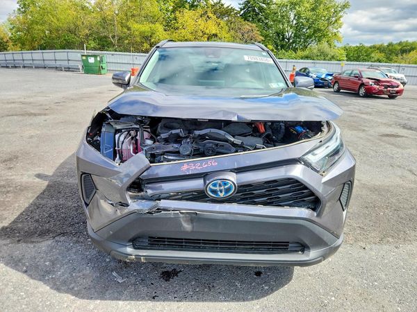 2024 TOYOTA RAV4 XLE — DIRF