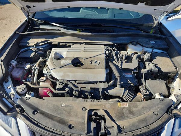 2020 LEXUS UX 250h Premium — Engine bay