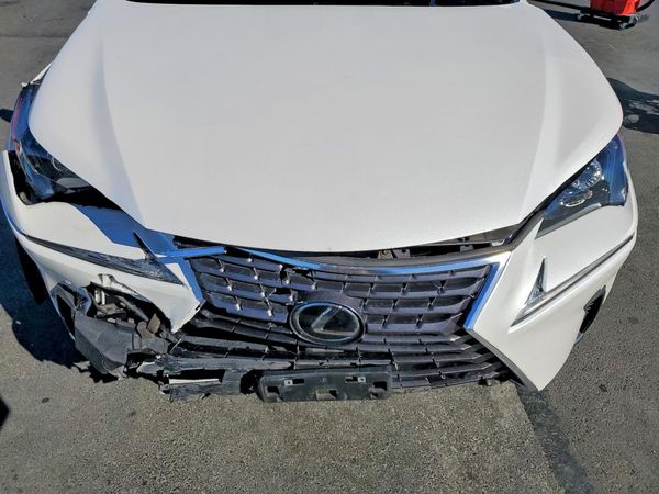 2021 LEXUS NX 300 300 Premium — Engine bay