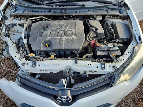 2014 TOYOTA COROLLA L/LE — Engine bay
