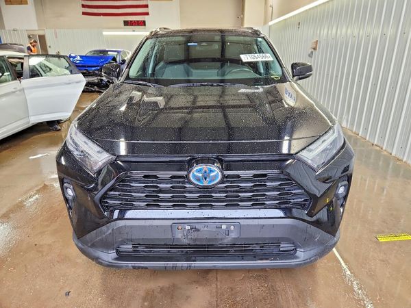 2022 TOYOTA RAV4 XLE Premium — DIRF