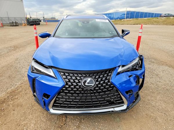 2024 LEXUS UX 250h Luxury — DIRF