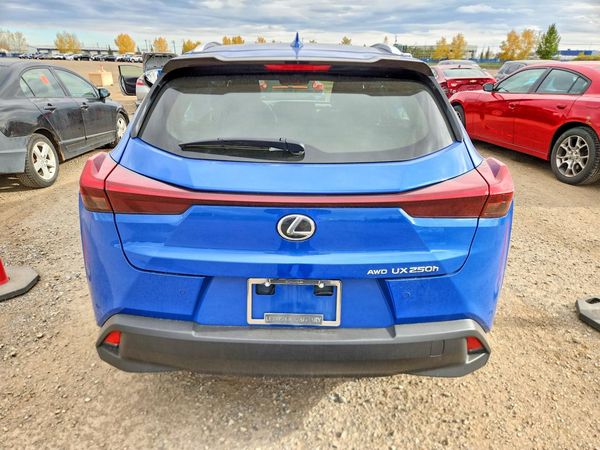 2024 LEXUS UX 250h Luxury — DIRR
