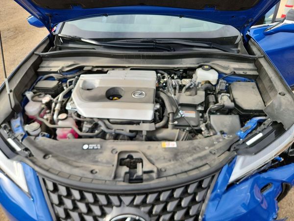 2024 LEXUS UX 250h Luxury — Engine bay