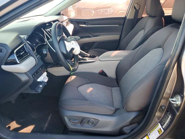 2019 TOYOTA CAMRY L/LE/SE/XLE — DENT