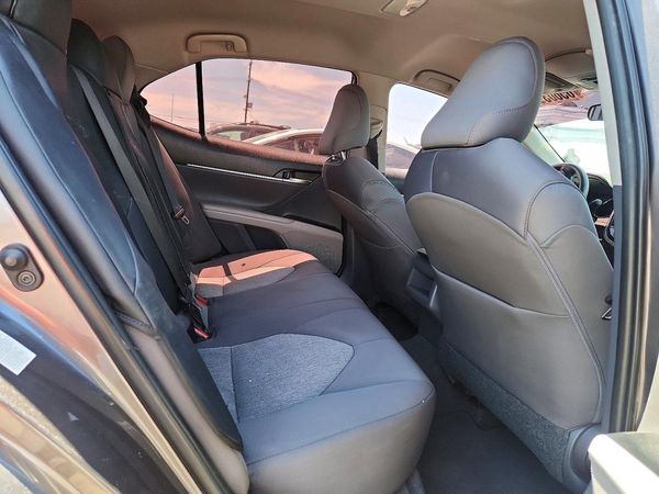 2019 TOYOTA CAMRY L/LE/SE/XLE — PSRS