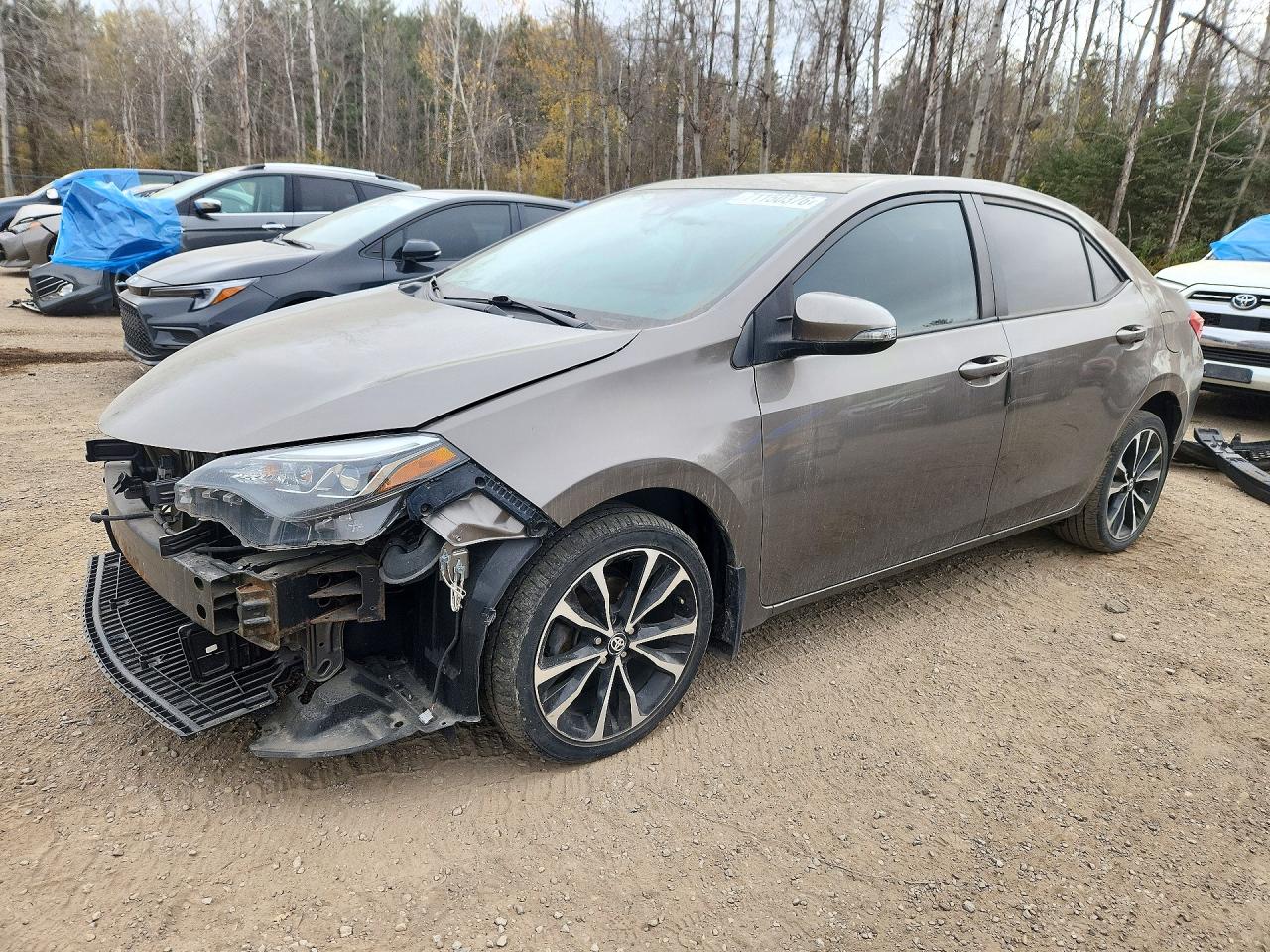 2019 TOYOTA COROLLA L/LE/SE/XLE/XSE — Front 3/4