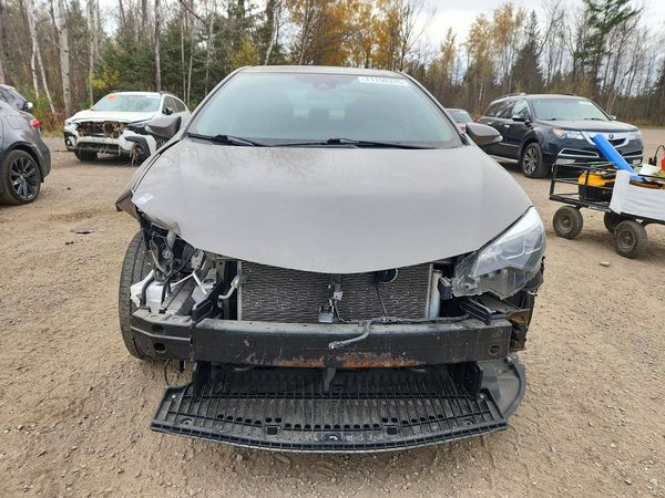 2019 TOYOTA COROLLA L/LE/SE/XLE/XSE — DIRF