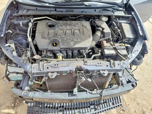 2019 TOYOTA COROLLA L/LE/SE/XLE/XSE — Engine bay