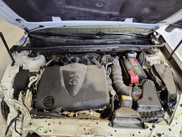 2019 TOYOTA CAMRY XLE/XSE — Engine bay