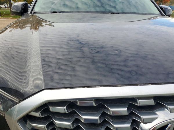 2020 HYUNDAI PALISADE SEL w/ Convenience Pkg — LOOS