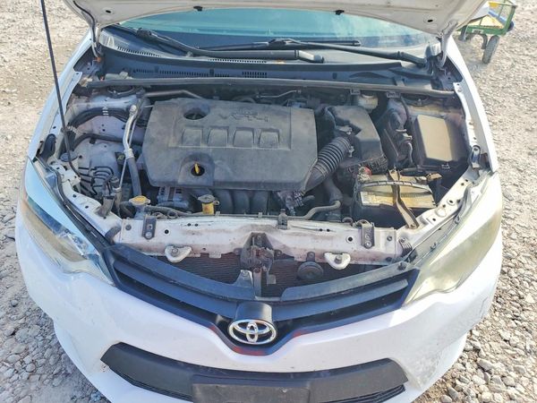2014 TOYOTA COROLLA L/LE — Engine bay