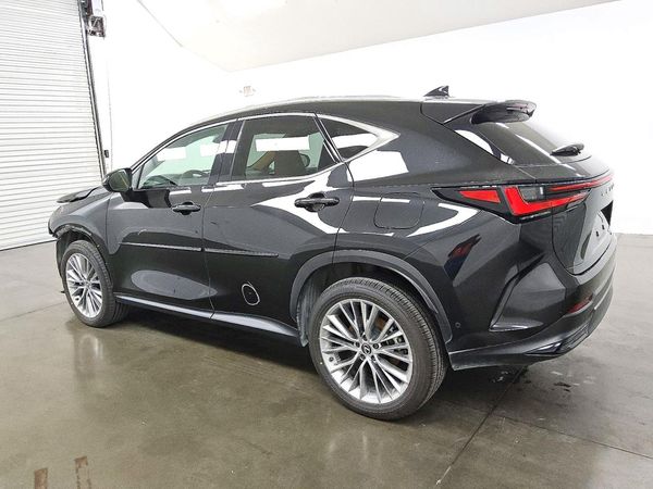 2025 LEXUS NX 350h Luxury — DSRA