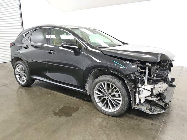 2025 LEXUS NX 350h Luxury — Passenger 3/4