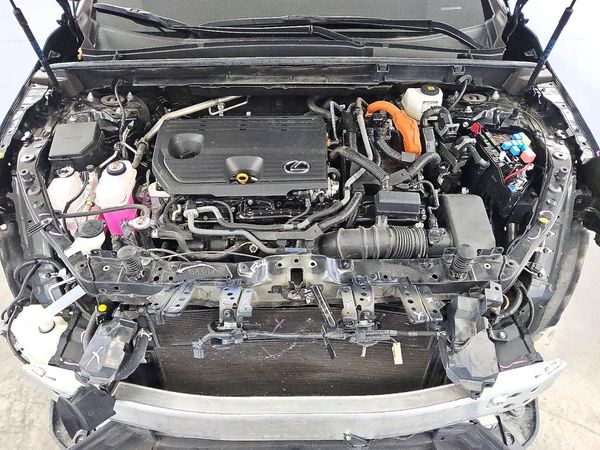 2025 LEXUS NX 350h Luxury — Engine bay