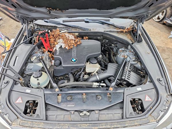 2014 BMW 528 xDrive — Engine bay