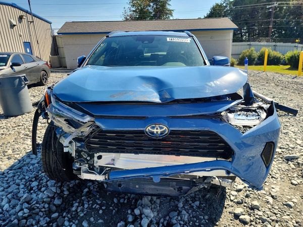 2024 TOYOTA RAV4 SE — DIRF