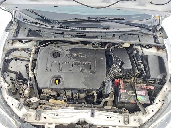 2018 TOYOTA COROLLA L/LE/SE/XLE/XSE — Engine bay