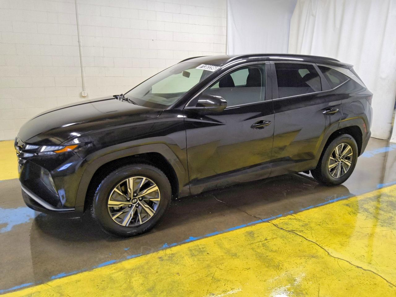 2024 HYUNDAI TUCSON Blue — Front 3/4