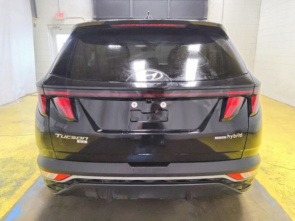 2024 HYUNDAI TUCSON Blue — DIRR