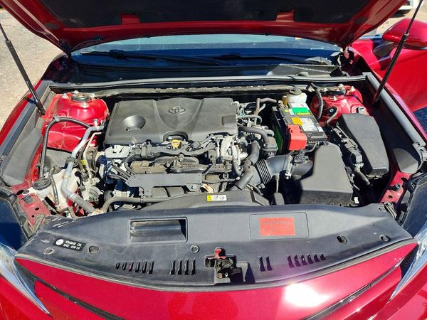 2019 TOYOTA CAMRY L/LE/SE/XLE — Engine bay