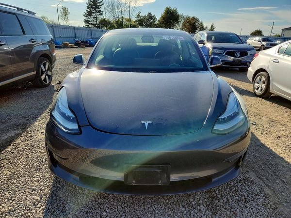 2019 TESLA MODEL 3 — DIRF