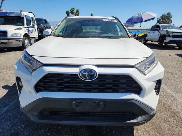 2019 TOYOTA RAV4 — DIRF