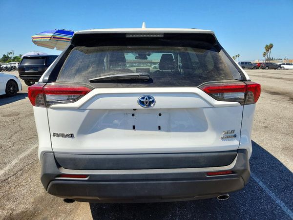2019 TOYOTA RAV4 — DIRR