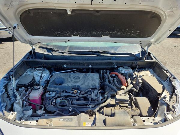 2019 TOYOTA RAV4 — Engine bay