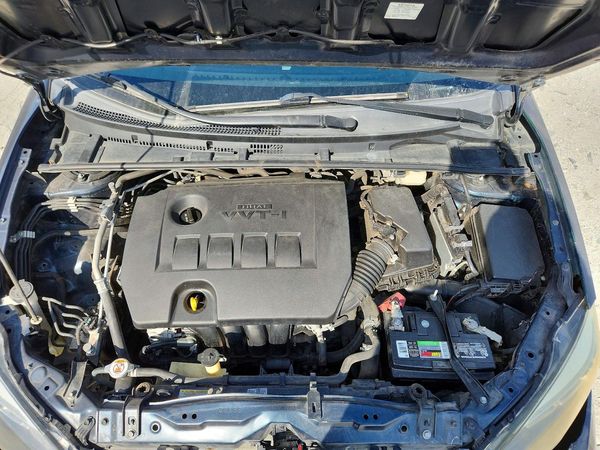 2019 TOYOTA COROLLA L/LE/SE/XLE/XSE — Engine bay