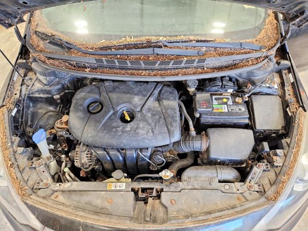 2014 KIA FORTE LX, EX — Engine bay